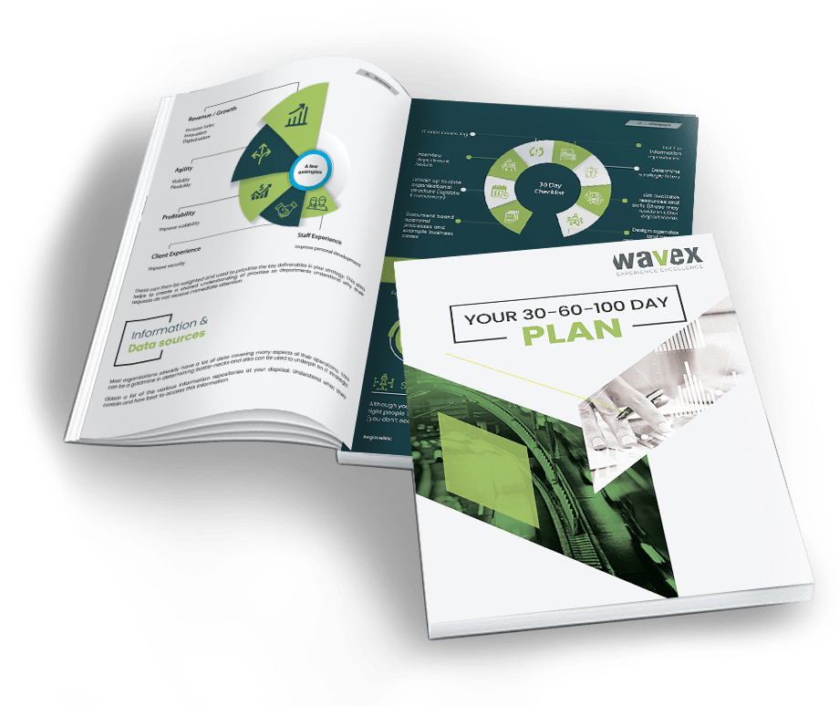30-60-100 Day Plan