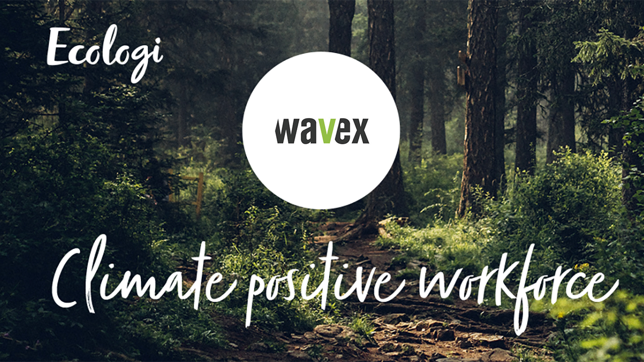 1,000 trees planted and counting! Wavex is determined to have a positive impact on our environment